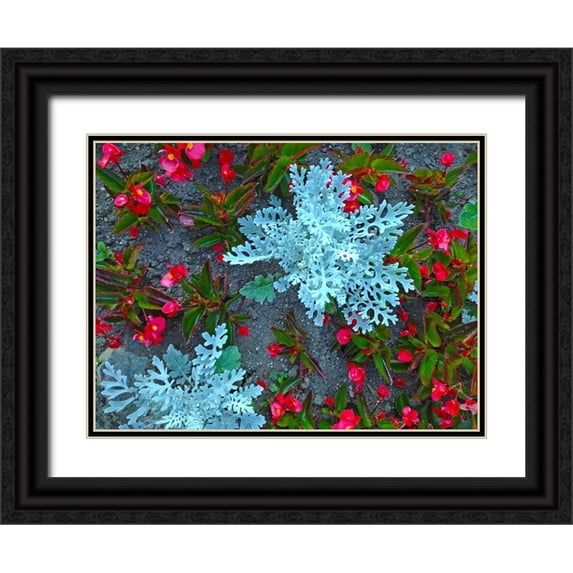 Grayscale 24x19 Black Ornate Wood Framed with Double Matting Museum Art Print Titled - White and Red II