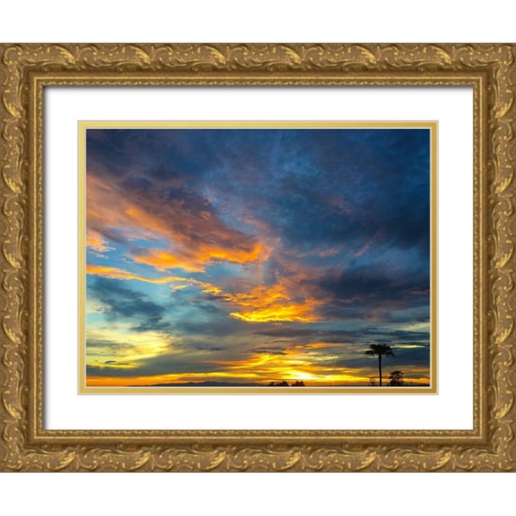 Grayscale 24x19 Gold Ornate Wood Framed with Double Matting Museum Art Print Titled - Arizona Sunset I