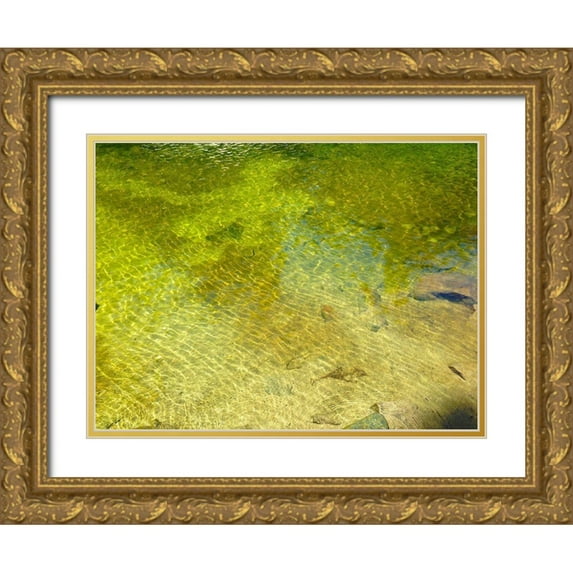 Grayscale 24x19 Gold Ornate Wood Framed with Double Matting Museum Art Print Titled - Water Scene I