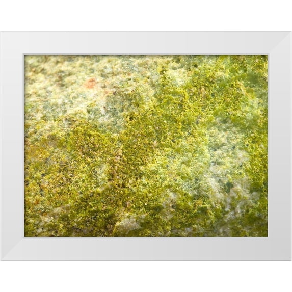 Grayscale 24x19 White Modern Wood Framed Museum Art Print Titled - Jade Sand I