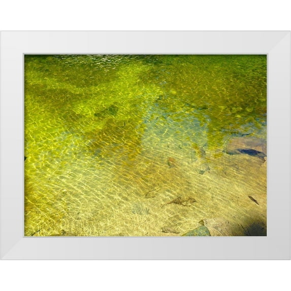 Grayscale 24x19 White Modern Wood Framed Museum Art Print Titled - Water Scene I