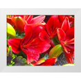 thumbnail image 1 of Grayscale 24x19 White Modern Wood Framed Museum Art Print Titled - Wet Blooms I, 1 of 4