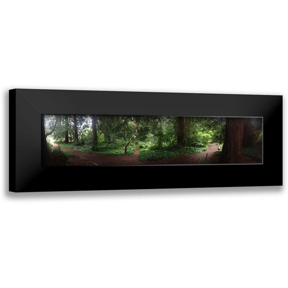 Grayscale 24x8 Black Modern Framed Museum Art Print Titled - Botanical Garden I