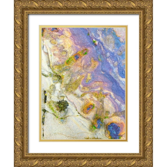 Grayscale 25x32 Gold Ornate Wood Framed with Double Matting Museum Art Print Titled - Oxidized Sand II