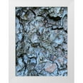 thumbnail image 1 of Grayscale 25x32 White Modern Wood Framed Museum Art Print Titled - Bark Scales II, 1 of 4