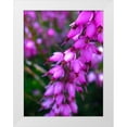 thumbnail image 1 of Grayscale 25x32 White Modern Wood Framed Museum Art Print Titled - Pink Cluster II, 1 of 4