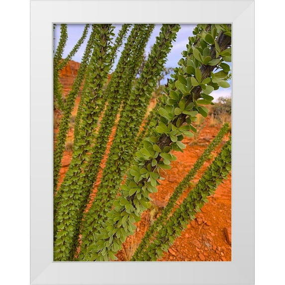 Grayscale 25x32 White Modern Wood Framed Museum Art Print Titled - Sedona III