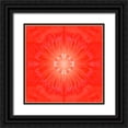 thumbnail image 1 of Grayscale 26x26 Black Ornate Wood Framed with Double Matting Museum Art Print Titled - Flower Medallion III, 1 of 4