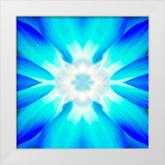 Grayscale 26x26 White Modern Wood Framed Museum Art Print Titled - Flower Medallion IV