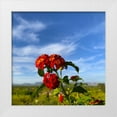thumbnail image 1 of Grayscale 26x26 White Modern Wood Framed Museum Art Print Titled - Lantana X, 1 of 4