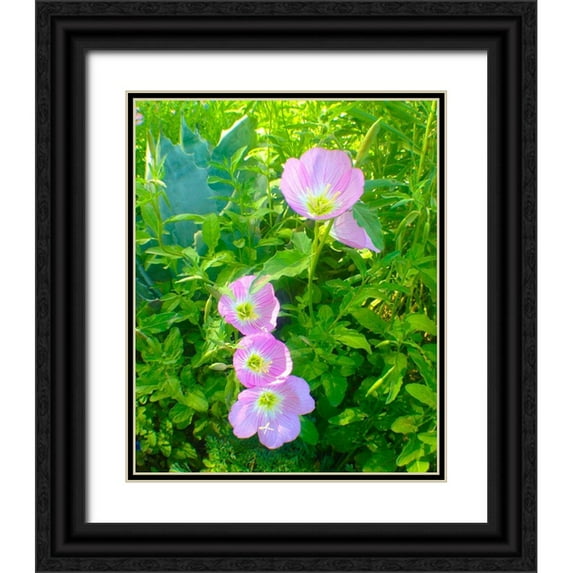 Grayscale 26x31 Black Ornate Wood Framed with Double Matting Museum Art Print Titled - Geraniums I
