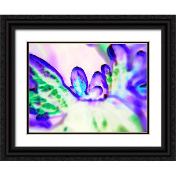 Grayscale 32x25 Black Ornate Wood Framed with Double Matting Museum Art Print Titled - Biologic II