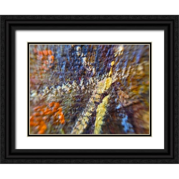 Grayscale 32x25 Black Ornate Wood Framed with Double Matting Museum Art Print Titled - Paint Closeup IX