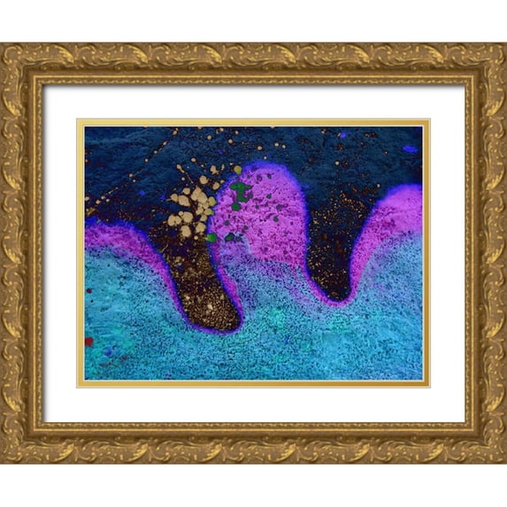 Grayscale 32x25 Gold Ornate Wood Framed with Double Matting Museum Art Print Titled - Bio Rainbow II