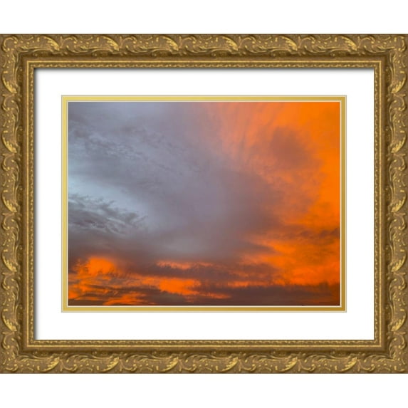 Grayscale 32x25 Gold Ornate Wood Framed with Double Matting Museum Art Print Titled - Cloudy Sky VIII