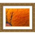 thumbnail image 1 of Grayscale 32x25 Gold Ornate Wood Framed with Double Matting Museum Art Print Titled - Orange Furry I, 1 of 4