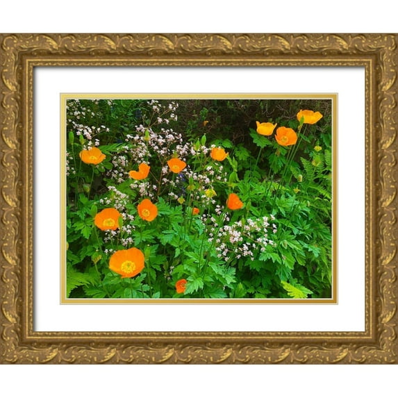 Grayscale 32x25 Gold Ornate Wood Framed with Double Matting Museum Art Print Titled - Orange Poppy Nest I