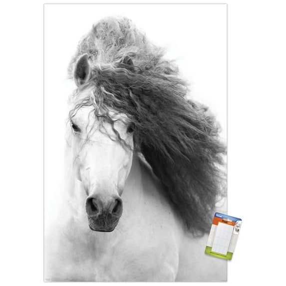 Grayscale Horse Wall Poster, 22.375" x 34"