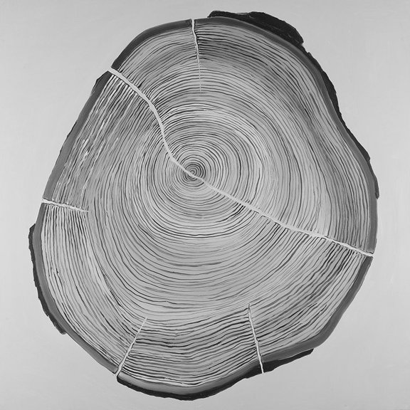 Grayscale Oval Shaped Tree Slab Poster Print by Atelier B Art Studio (12 x 12)
