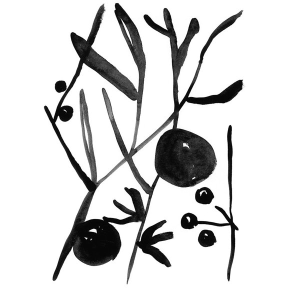 Graze I Poster Print - Chariklia Zarris (24 x 36)