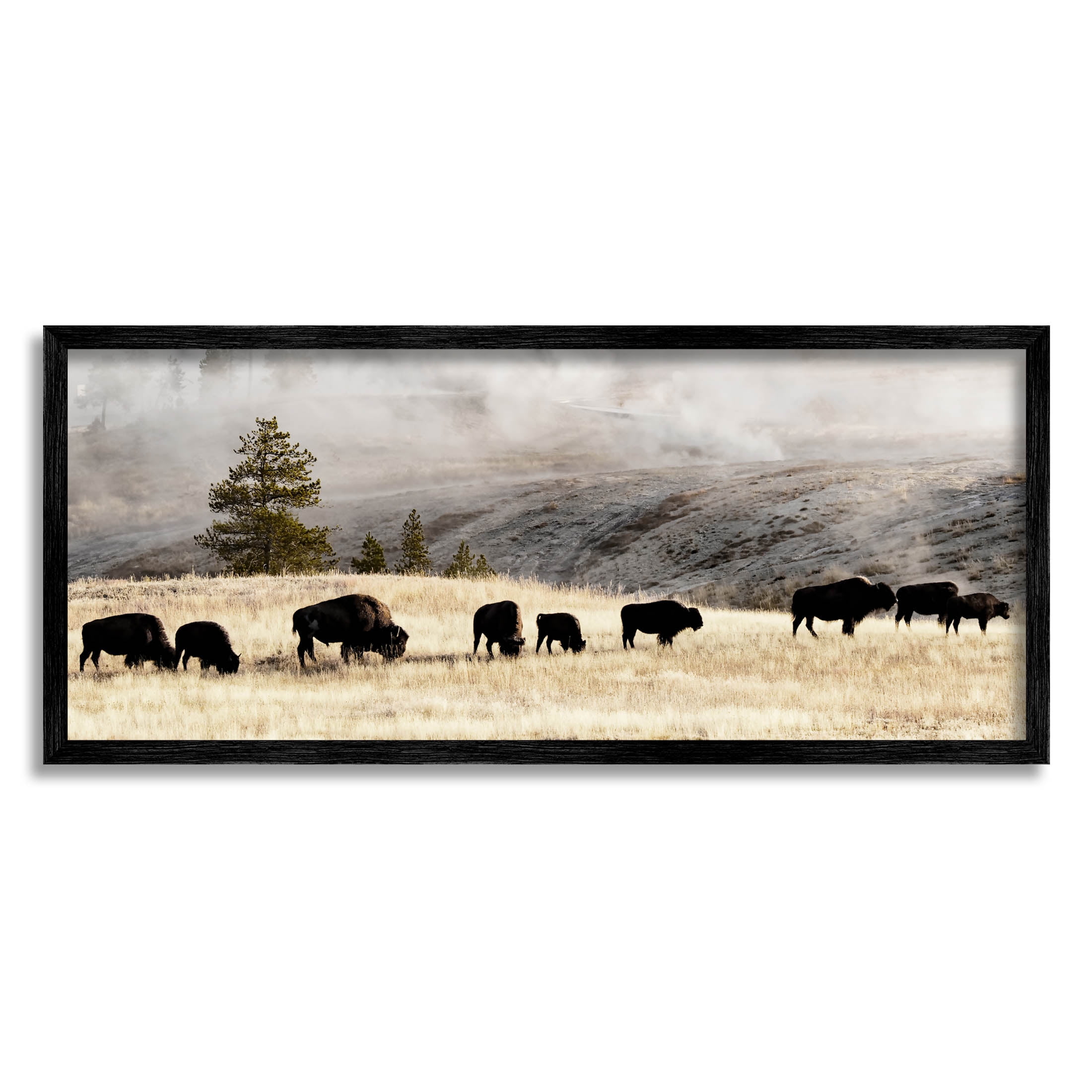Grazing Bison Rural Country Fog Animals & Insects Photograph Black Framed Art Print Wall Art