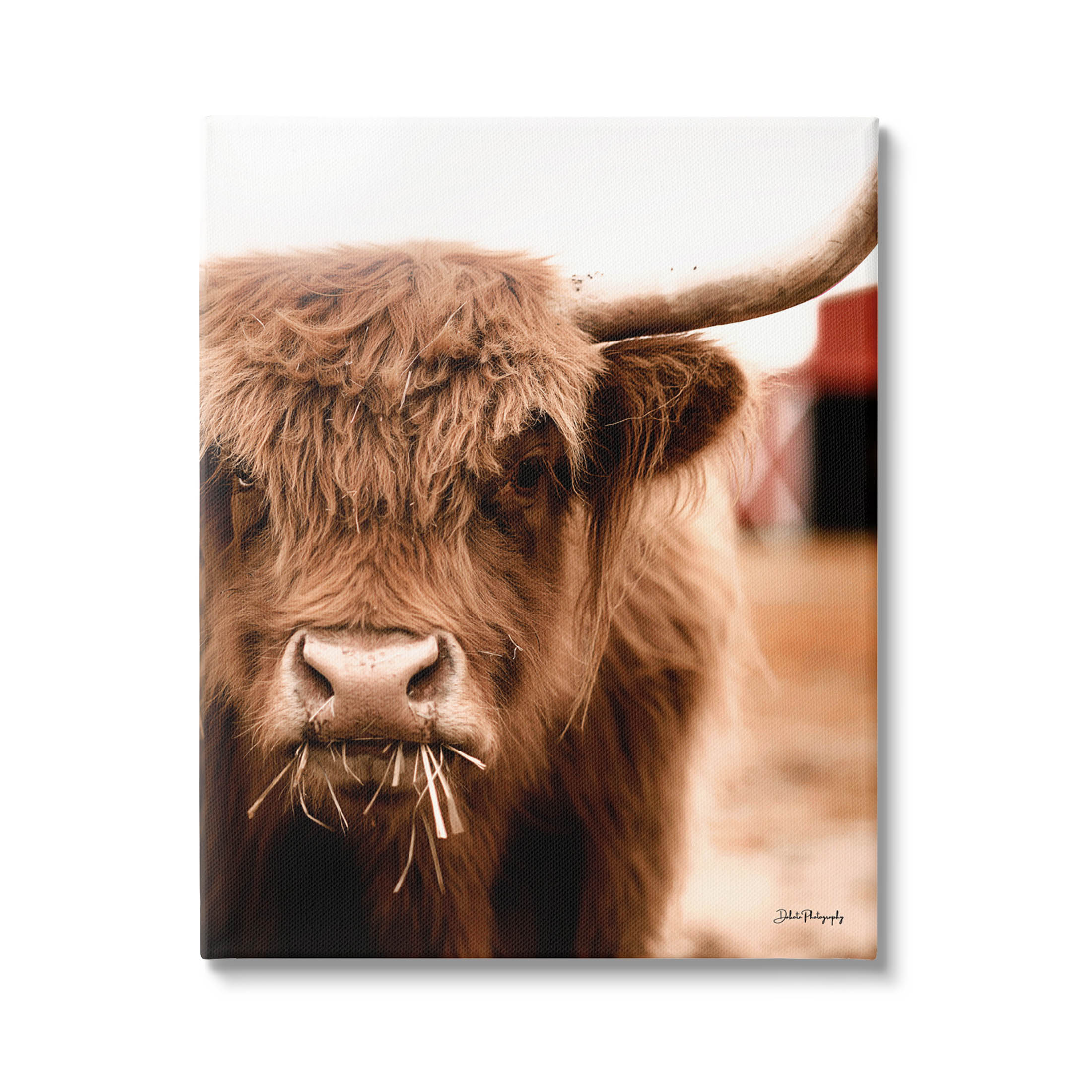 Grazing Cow Animal Portrait Animals & Insects Photograph Gallery Wrapped Canvas Print Wall Art