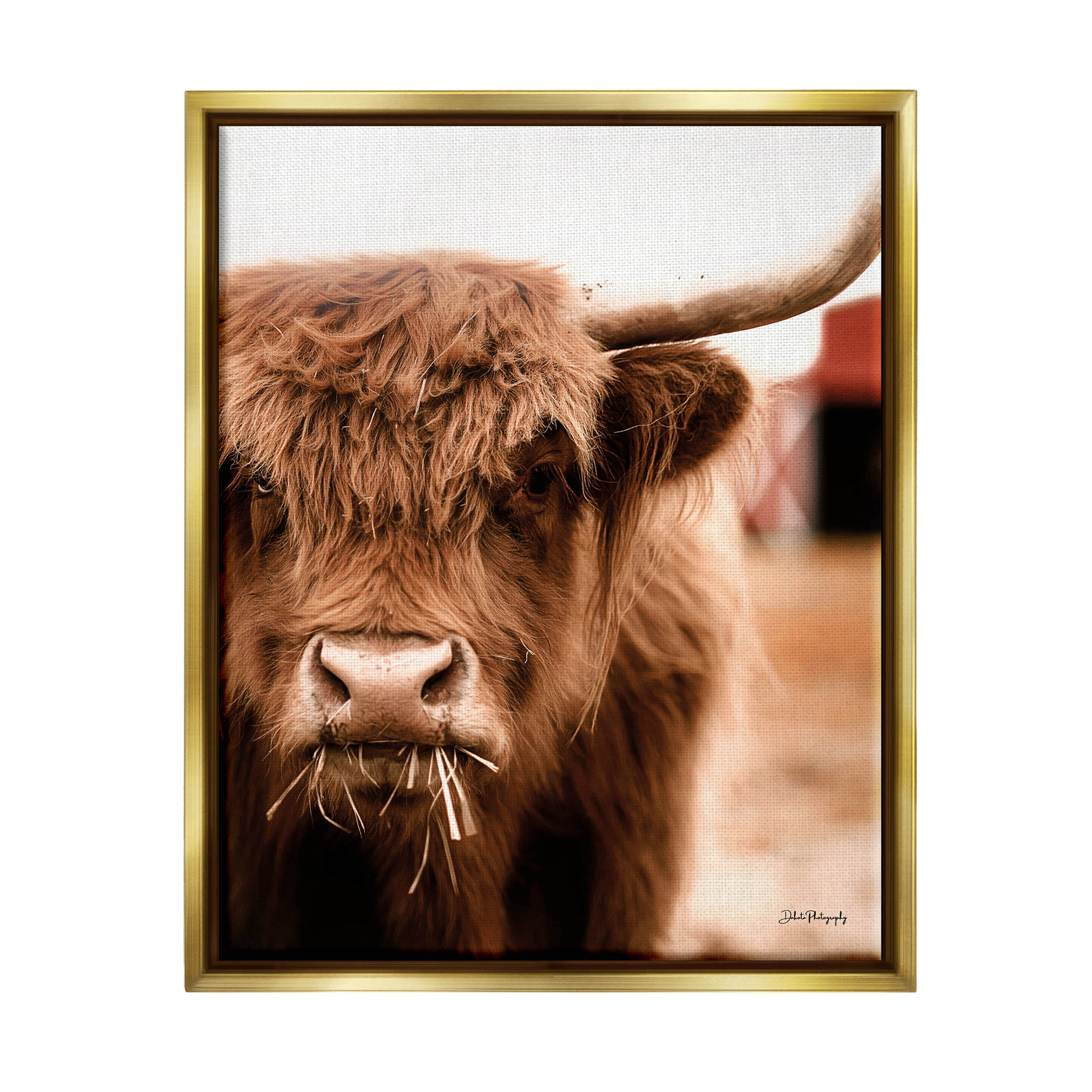 Grazing Cow Animal Portrait Animals & Insects Photograph Metallic Gold Framed Art Print Wall Art