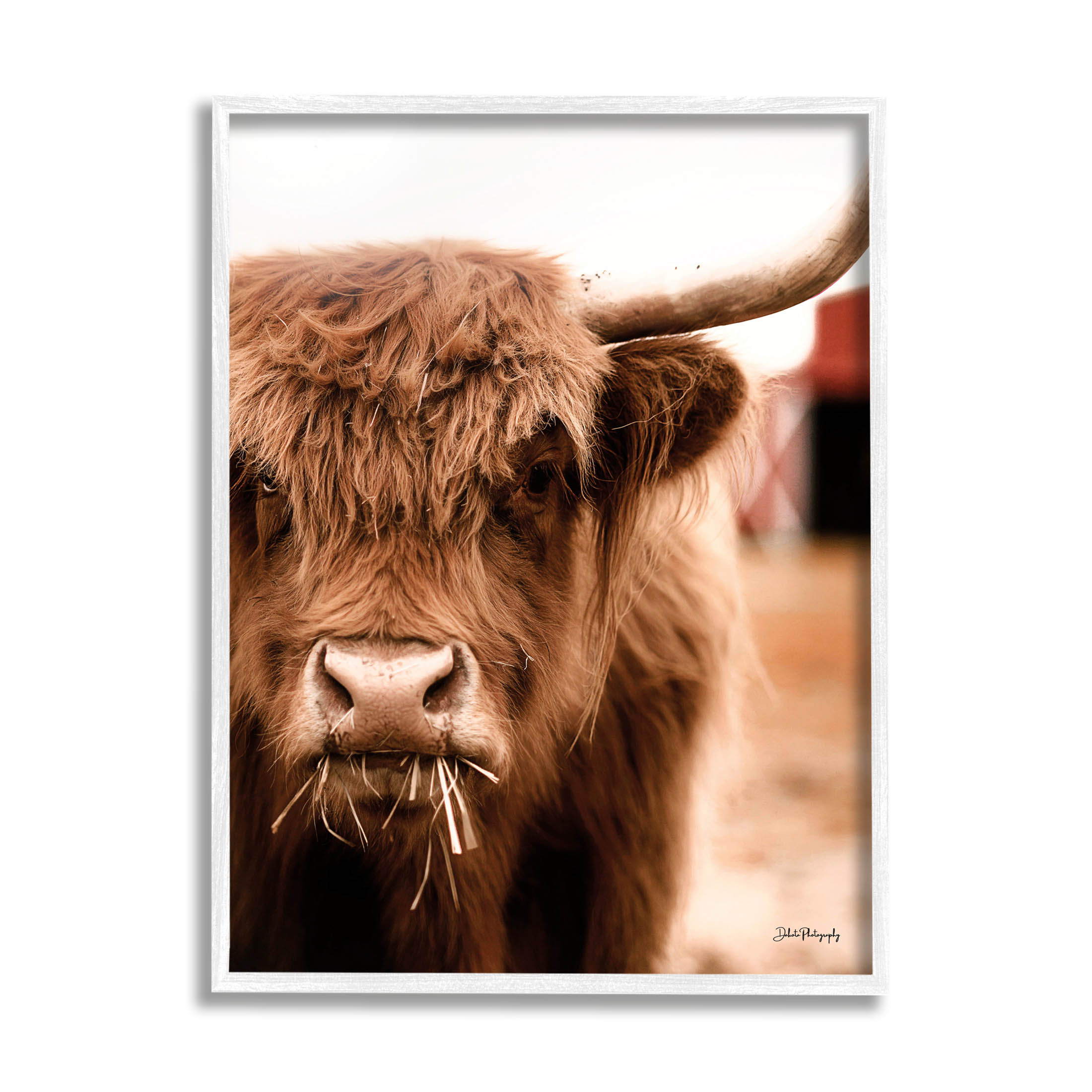 Grazing Cow Animal Portrait Animals & Insects Photograph White Framed Art Print Wall Art