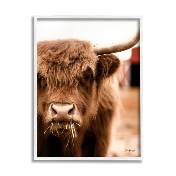 Grazing Cow Animal Portrait Animals & Insects Photograph White Framed Art Print Wall Art