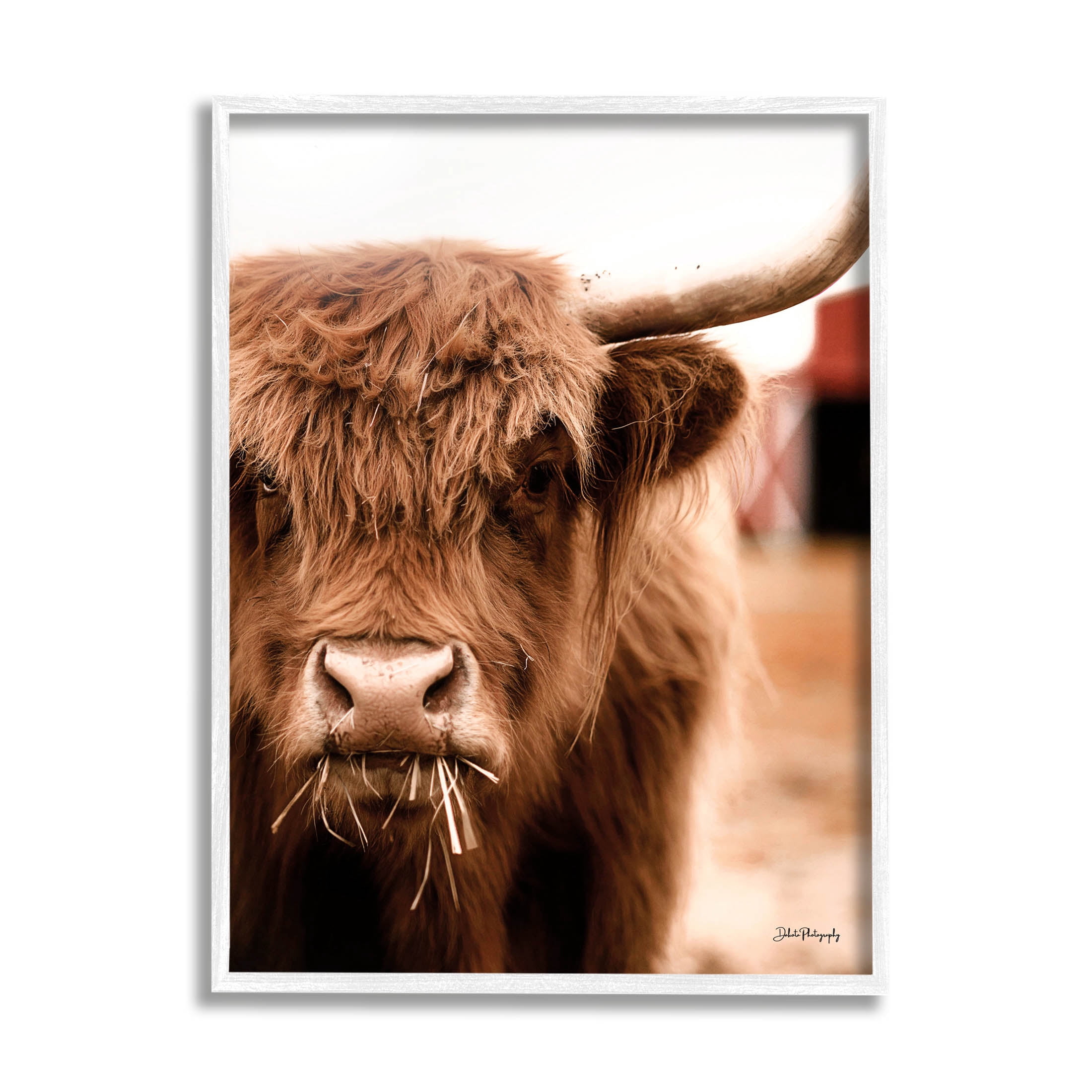 Grazing Cow Animal Portrait Animals & Insects Photograph White Framed Art Print Wall Art