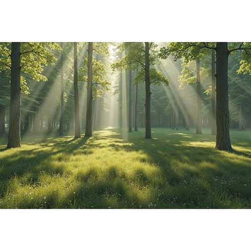 Gre Grass Forest Spring Backdrop Flower Field Sunshine Trunk Photo ...