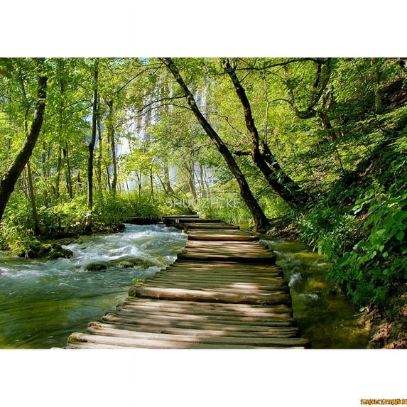 Gre Spring Beautiful Scery Photography Backdrops Props Blue Sky White Cloud Nature lawn Forest Photo Studio Background KH-01