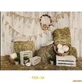 thumbnail image 1 of Gre Spring Easter Day Photography Backdrops Props Hare Rabbits Colorful Eggs Wood Photo Studio Background VV-16, 1 of 5
