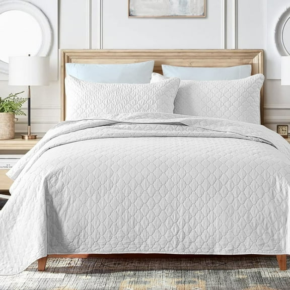 Greagle Ultrasonic Reversible King Size Quilt Set, White Velvet, Soft & Warm, 3-Piece Bedding Set