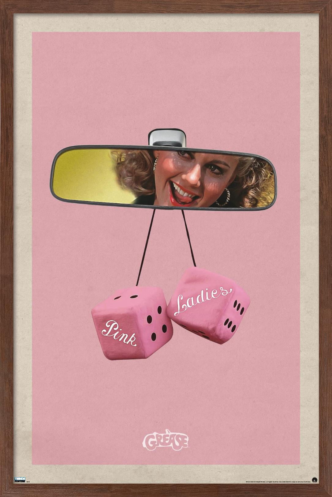 Grease - Dice Wall Poster, 22.375" x 34", Framed