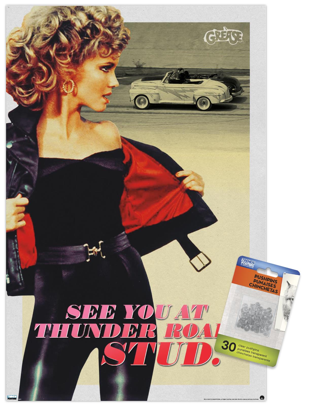 Grease - Stud Wall Poster with Push Pins, 14.725" x 22.375"