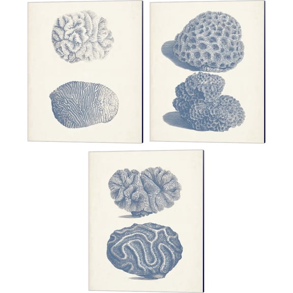 Great Art Now Antique Coral Collection B by Vision Studio 3 Piece Canvas Art Set Each 12W x 15H