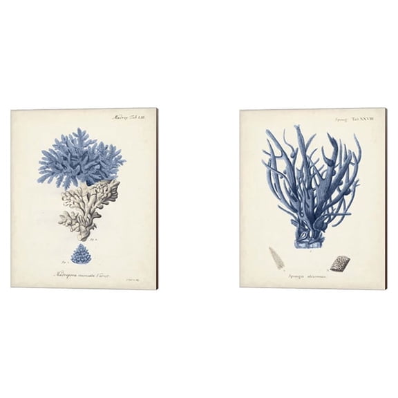 Great Art Now Antique Coral in Navy by Johann Esper 2 Piece Canvas Art Set Each 12"W x 15"H