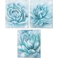 thumbnail image 1 of Great Art Now Aqua Succulent by Ramona Murdock 3 Piece Canvas Art Set Each 12W x 15H, 1 of 5