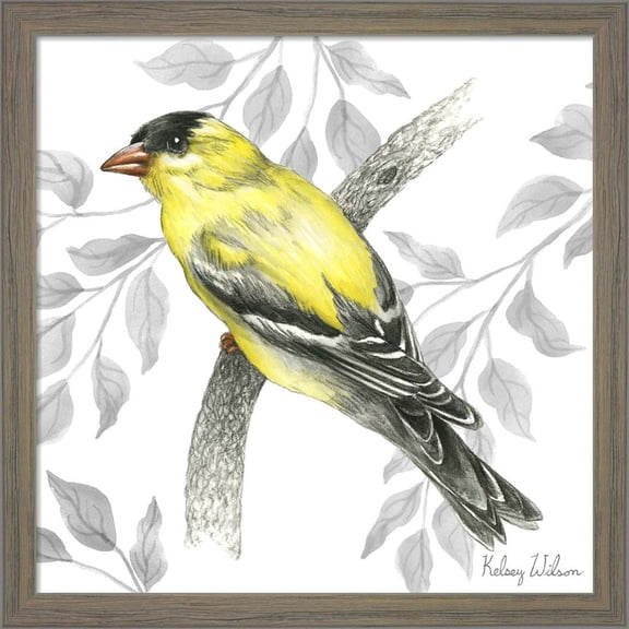 Great Art Now Backyard Birds IV-Goldfinch II by Kelsey Wilson, Framed Wall Art, 13W x 13H