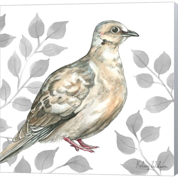 Great Art Now Backyard Birds V-Mourning Dove by Kelsey Wilson, Canvas Wall Art, 12W x 12H