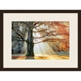 thumbnail image 1 of Great Art Now Basking In The Sun by Lars Van De Goor, Framed Wall Art, 24.75W x 18.75H, 1 of 2