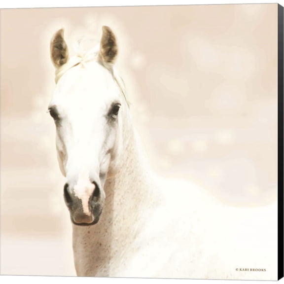 Great Art Now Bella Luna by Kari Brooks, Canvas Wall Art, 24W x 24H