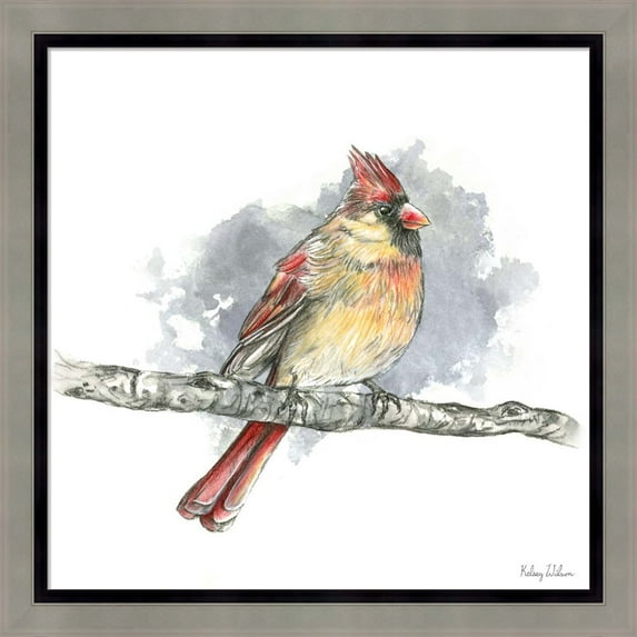 Great Art Now Birds & Branches II-Female Cardinal by Kelsey Wilson, Framed Wall Art, 18.5W x 18.5H