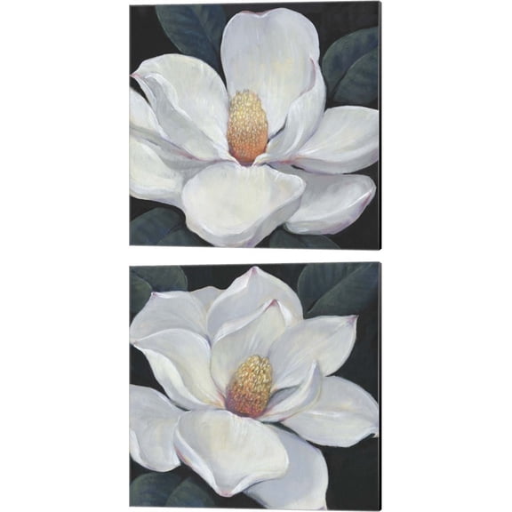 Great Art Now Blooming Magnolia by Timothy O'Toole 2 Piece Canvas Art Set Each 14"W x 14"H
