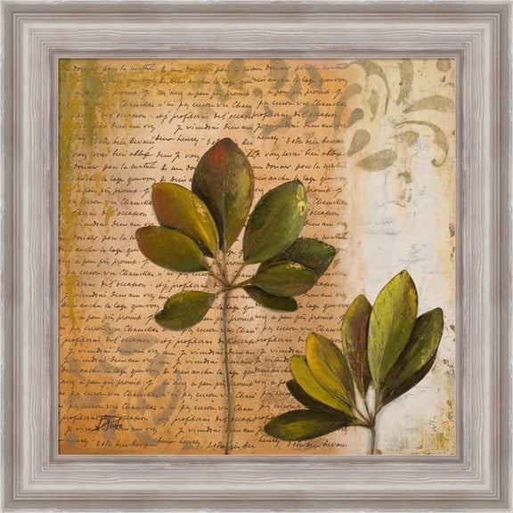 Great Art Now Botanica II by Patricia Pinto, Framed Wall Art, 20W x 20H