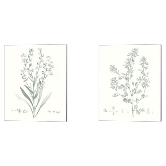 Great Art Now Botanical Study in Sage by Vision Studio 2 Piece Canvas Art Set Each 12"W x 15"H