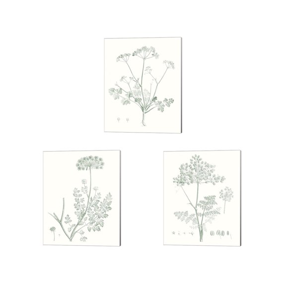 Great Art Now Botanical Study in Sage by Vision Studio 3 Piece Canvas Art Set Each 12"W x 15"H