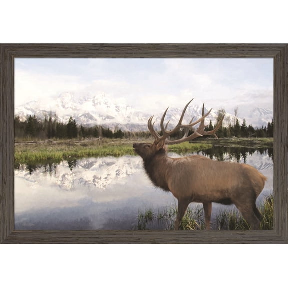 Great Art Now Bull Elk in Tetons by Lori Deiter, Framed Wall Art, 32.5W x 22.75H