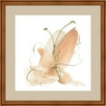 thumbnail image 1 of Great Art Now Butterfly Flower II by Chris Paschke, Framed Wall Art, 25W x 25H, 1 of 2